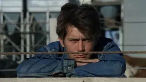 Backdrop to the movie "Badlands" #667948