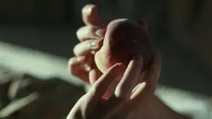 Backdrop to the movie "Call Me by Your Name" #595975