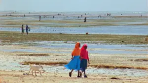 Backdrop to the movie "Samsara" #368795