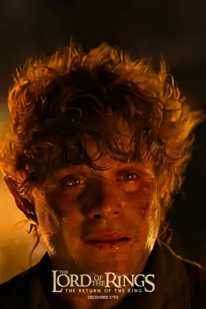 Poster to the movie "The Lord of the Rings: The Return of the King" #515072