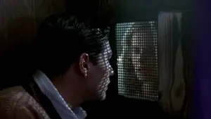 Backdrop to the movie "Cinema Paradiso" #670411