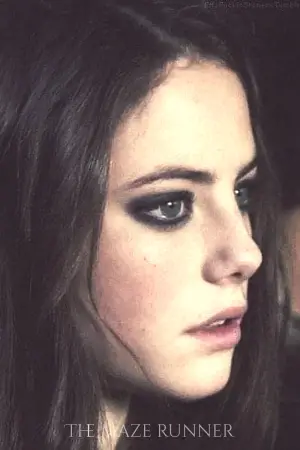 Poster to the movie "The Maze Runner" #551528