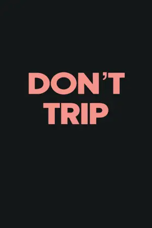 Poster to the movie "Don