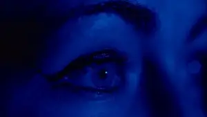 Backdrop to the movie "Dark Night" #652093