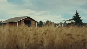 Backdrop to the movie "Timo: the Lord of Potato" #792001