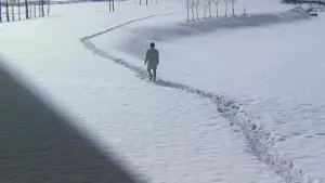 Backdrop to the movie "Tokyo Drifter" #763926