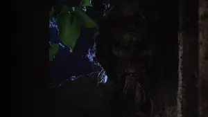 Backdrop to the movie "Tombs of the Blind Dead" #470086