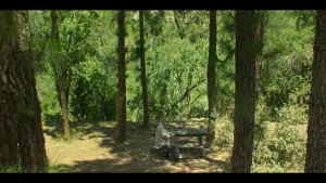 Backdrop to the movie "Pines" #453495