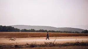 Backdrop to the movie "Tiger Wolf Rabbit" #705707