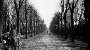 Backdrop to the movie "The Third Man" #699986