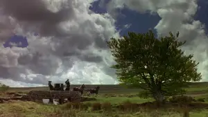 Backdrop to the movie "Sense and Sensibility" #802419