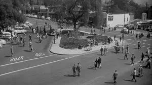 Backdrop to the movie "Invasion of the Body Snatchers" #902031