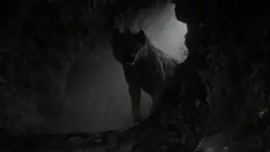 Backdrop to the movie "The Lion King" #581527