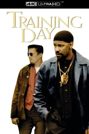 Poster to the movie "Training Day" #789707