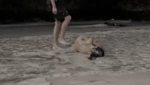 Backdrop to the movie "Nude" #432593