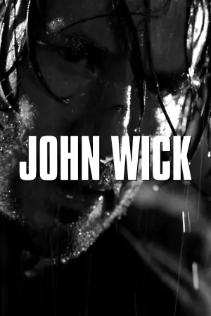 Poster to the movie "John Wick" #526038