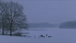 Backdrop to the movie "Dead Poets Society" #573880