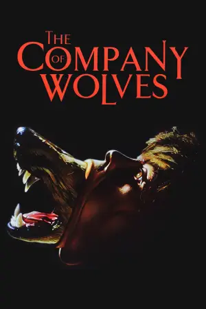 Poster to the movie "The Company of Wolves" #838377