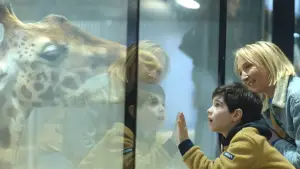 Backdrop to the movie "A Mother