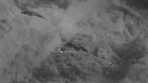 Backdrop to the movie "Fighting Elegy" #765012