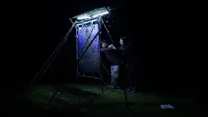 Backdrop to the movie "Nocturnes" #787090