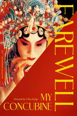 Poster to the movie "Farewell My Concubine" #712048
