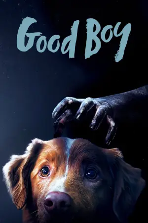 Poster to the movie "Good Boy" #770395
