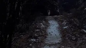 Backdrop to the movie "Wishing Stairs" #746617