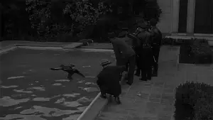 Backdrop to the movie "Sunset Boulevard" #669951