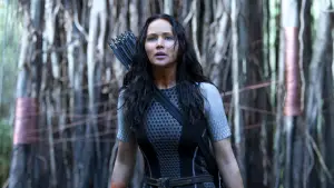 Backdrop to the movie "The Hunger Games: Catching Fire" #624942