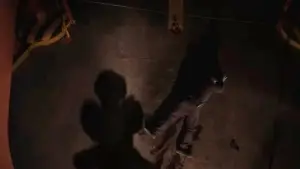 Backdrop to the movie "Screamboat" #620307