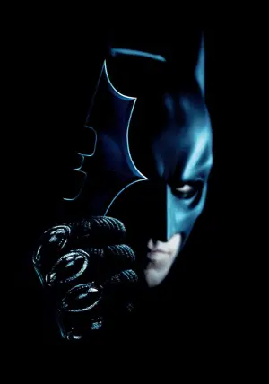 Poster to the movie "The Dark Knight" #522595
