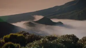 Backdrop to the movie "The Mountain" #666893