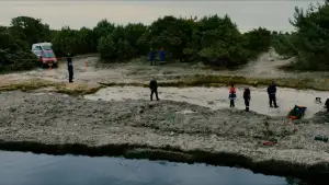 Backdrop to the movie "Secret of the Forest" #798241