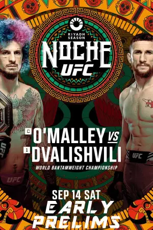Poster to the movie "UFC 306: O