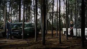 Backdrop to the movie "North by Northwest" #180742