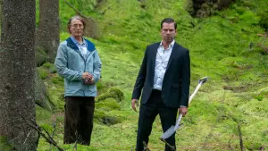 Backdrop to the movie "The Last Viking" #530565