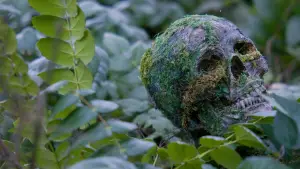 Backdrop to the movie "Die Alone" #606215