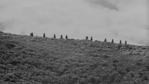 Backdrop to the movie "Seven Samurai" #605743