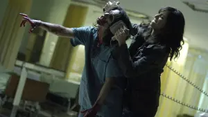 Backdrop to the movie "Diary of the Dead" #383212