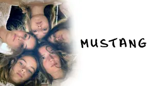 Backdrop to the movie "Mustang" #187317