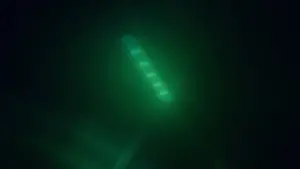 Backdrop to the movie "Lysreisen" #413764