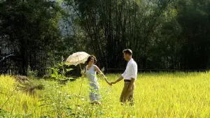 Backdrop to the movie "The Painted Veil" #889983