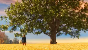 Backdrop to the movie "The Lovely Bones" #654254