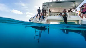 Backdrop to the movie "En immersion avec Alice Belaïdi" #777968