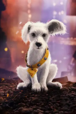 Poster to the movie "Supergirl" #767090