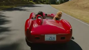 Backdrop to the movie "The Art of Racing in the Rain" #175809