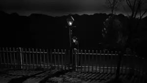 Backdrop to the movie "The Night of the Hunter" #675788