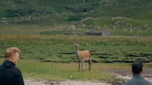 Backdrop to the movie "The North" #673866