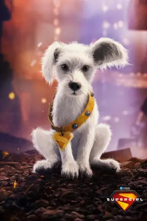 Poster to the movie "Supergirl" #767089